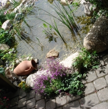 Wassergarten in Gröbenzell